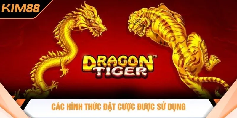Các hình thức đặt cược được sử dụng