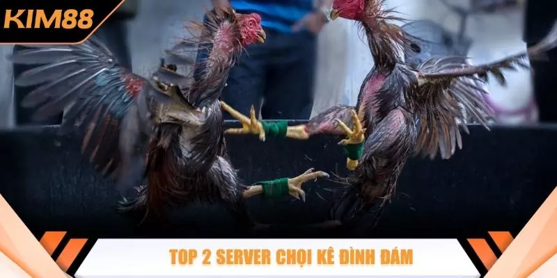 Top 2 server chọi kê đình đám